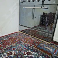 گاز پنج شعله