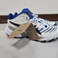 کتانی ورزشی