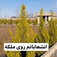 زمین-مسکونی-در-شمال-تهاتر-در-زمین-باغی-حصارمهتر