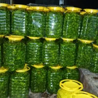 ترشی بیور|عمدهفروشی|لالجین, |دیوار