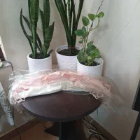 ویترین شیک مدرن|بوفه، ویترین، کنسول|رشت, معلم|دیوار