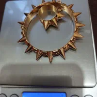 تکپوش سیخکی