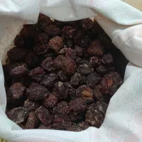 آلویخشک|خوردنی و آشامیدنی|اهر, |دیوار