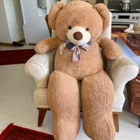 خرس تدی