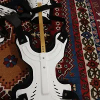 کمربند طبی|آرایشی، بهداشتی، درمانی|دوگنبدان, |دیوار