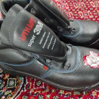 ایمنی شرکتی