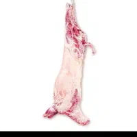 گوشت گوسفند بدون دنبه