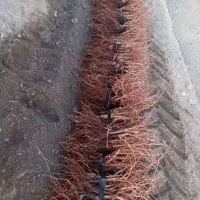 فرصت طلایی نمایندگی نهال با درآمد میلیاردی|خدمات باغبانی و درختکاری|اراک, |دیوار