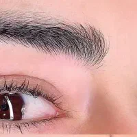 میکروبلیدینگ ابرو رایگان|خدمات آرایشگری و زیبایی|شیراز, مبعث|دیوار