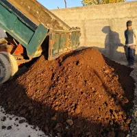 کودحیوانی خاک باغچه