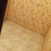 کاشی کار|خدمات پیشه و مهارت|نرماشیر, |دیوار