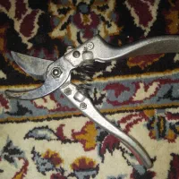 آره با قیچی|کوهنوردی و کمپینگ|رفسنجان, |دیوار