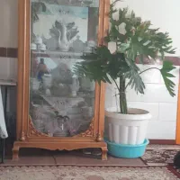 کار در منزل خودم  بسته بندی یا تولید وسایل دستمزدی