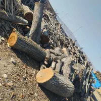 خرید انواع چوب|خدمات پیشه و مهارت|قوچان, |دیوار