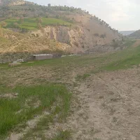 باغ