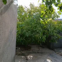 زیر-زمین-مسکونی-رایگان-برای-نگهداری-سالمند
