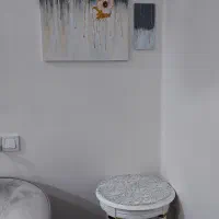 دوعدد میز کنارسالنی