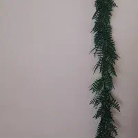 ریسه ی سرخس علف دار