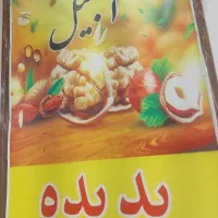 نیازمند یک شاگرد