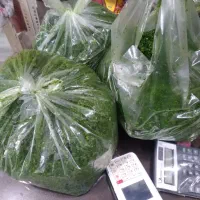 سبزی خردکنی شاکری پاکدشت حصارامیر شاکری