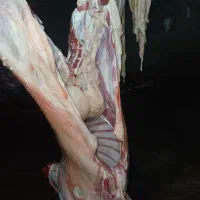 گوشت تیربز چاق کبابی بیگ چاق|خوردنی و آشامیدنی|مسجد سلیمان, |دیوار