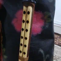 نی انبان (همبونه)