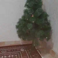 درختچه کریسمس