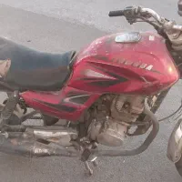 برمودا۱۵۰