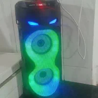 اسپیکر  اصل