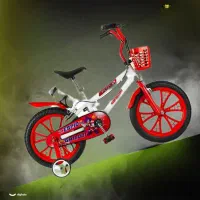 کانون اصلی دوچرخه کودک سایز۱۲،۱۶ تهران