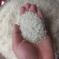 برنج دجه یک شمال (سیاهکل)