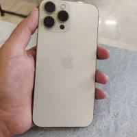13 pro max