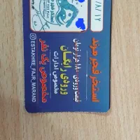 فروش کارت استخر سونای فجر