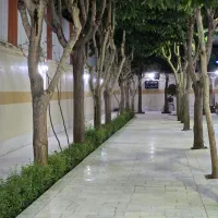 تالار باغ ونوس|خدمات پذیرایی، مراسم|اراک, |دیوار