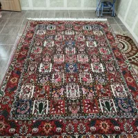 فرش 6متری چالشتری|فرش|اهواز, گلستان|دیوار