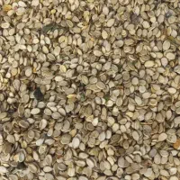 تخمه هندوانه موجود ۴۰ کیلو کیلویی۱۸۰