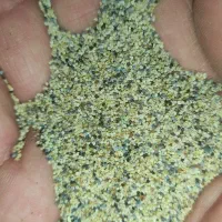 بذر کشاورزی