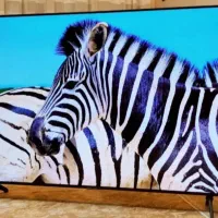 ۵۰اینچ هیمالیا درحدآکبند