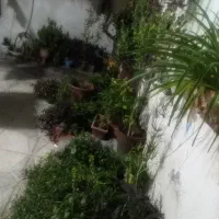 خوابگاه (پانسیون) دخترانه یکتا 2