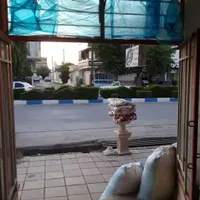 گمشده کبوتر ۱۵ پیش باماهی ۳۵۰۰ خیابان حافظ جنوبی