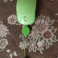 فن خنک کننده سالم|پنکه و تصفیه‌کنندهٔ هوا|شیراز, شهرک کوشکک|دیوار