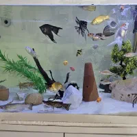 آکواریوم سامپ دار و کمد مخصو