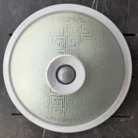 چراغ سقفی دیواری  سنسور دار شیله ویسنا