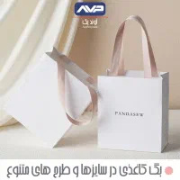 پاکت بیرون بر غذا و بگ بیرون بر