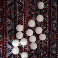کلکسیون قیمتی