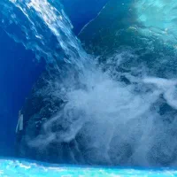 باغ-شهر-2300-متری