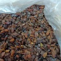 کشمش شیرین گله پاک شده و قیمت خوب|خوردنی و آشامیدنی|اصفهان, زهران|دیوار