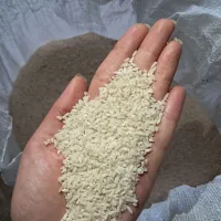 برنج نیم دانه هاشمی امساله