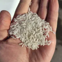 برنج پاکستانی|خوردنی و آشامیدنی|قزوین, |دیوار