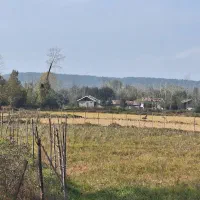 خونه باغ ۱۵۵۰متری|فروش خانه و ویلا|رشت, دیلمان|دیوار